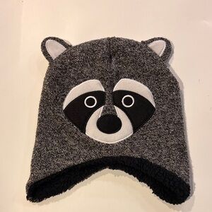 Gray Raccoon Kids Winter Hat